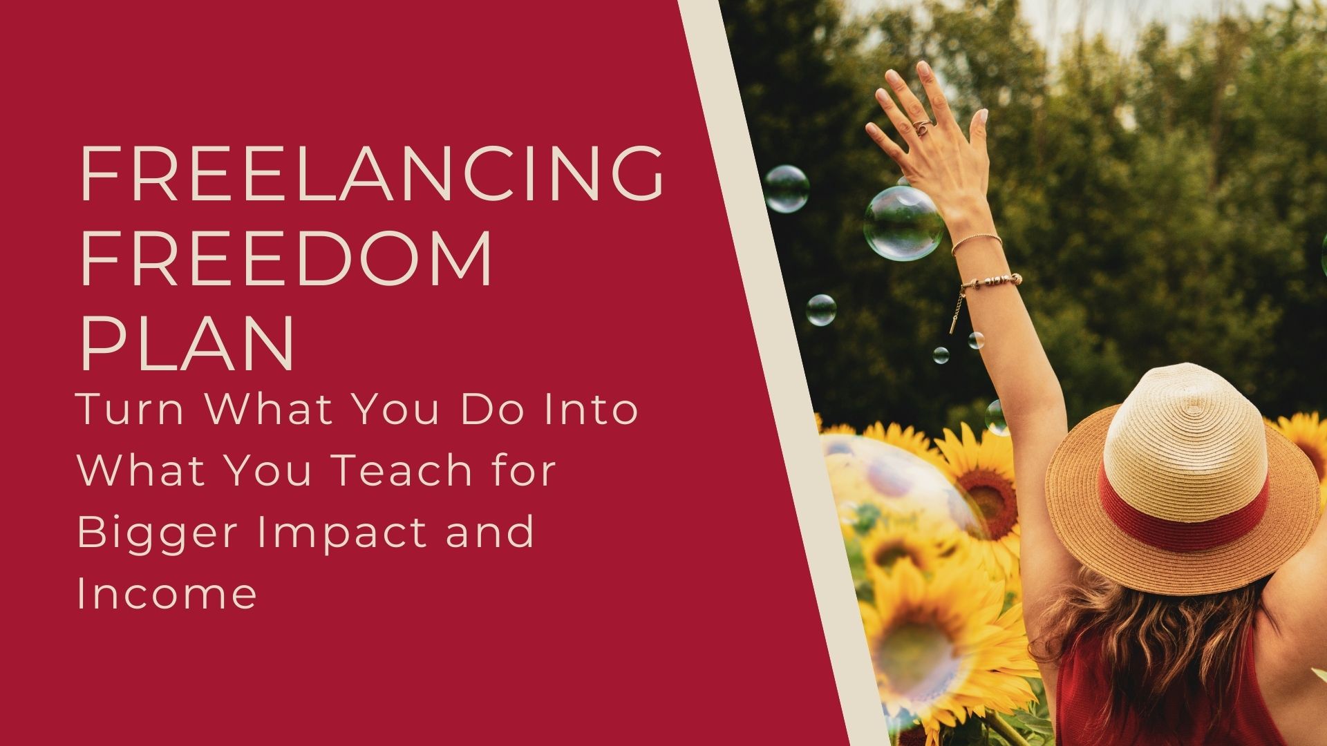 Freelancing Freedom Plan Cover