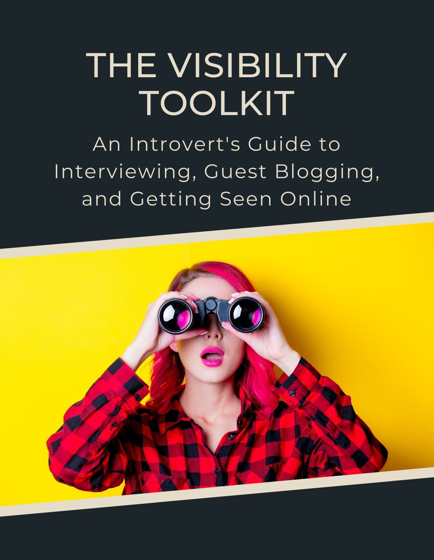 visibility-toolkit-portrait Visibility Toolkit Cover