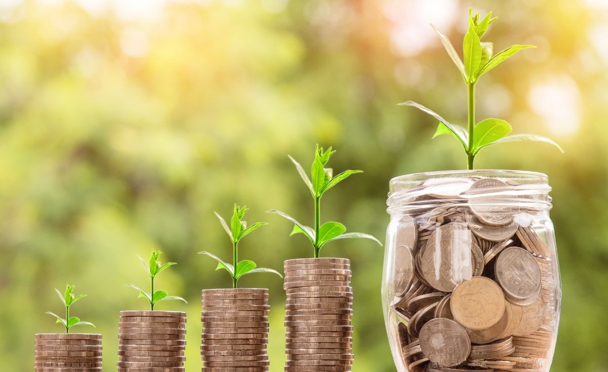 concept image of financial growth